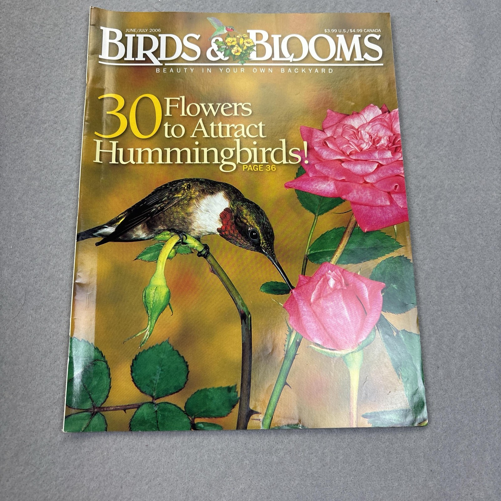 Birds & Blooms June/July 2006 Magazine Illustrated Nature Gardening Green Cover
