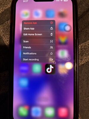 Apple iPhone 13 Pro Max - 128 GB with TikTok installed