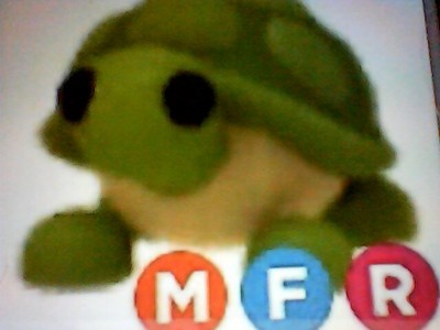 turtle adoptions near me