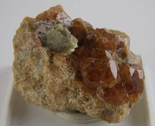 GROSSULAR (GARNET) CRYSTALS with EPIDOTE - 3.4 cm - BISHOP, CALIFORNIA 29821