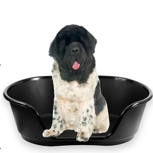 Dog bed basket pet cat puppy heavy duty plastic waterproof x-large black