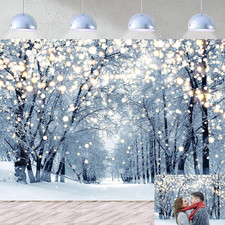 Winter Scene Backdrop for Photography 7X5Ft Glitter White Snow Forest