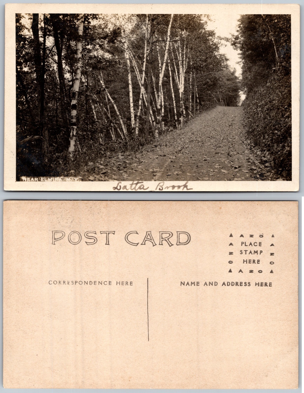 RPPC Dirt Road Birch Trees Latta Brook Photo Postcard