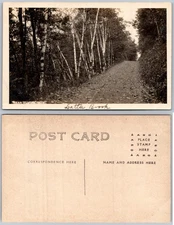 RPPC Dirt Road Birch Trees Latta Brook Photo Postcard