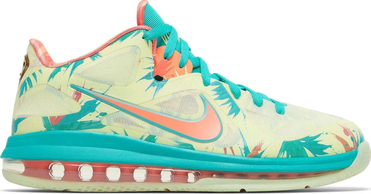 Nike LeBron IX Men