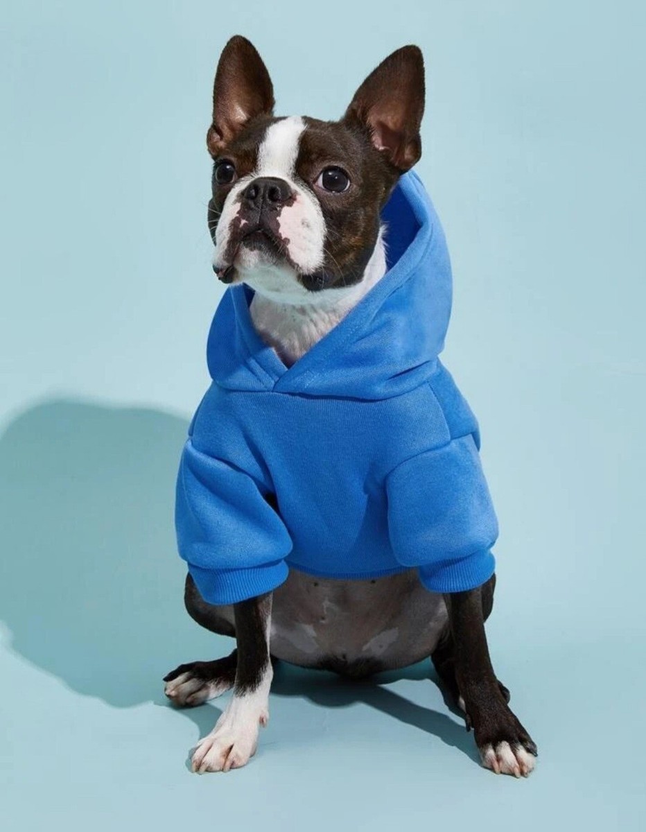 Pullover Sweatshirt Boston Terrier Clothes Size Dog Hoodie Puppy