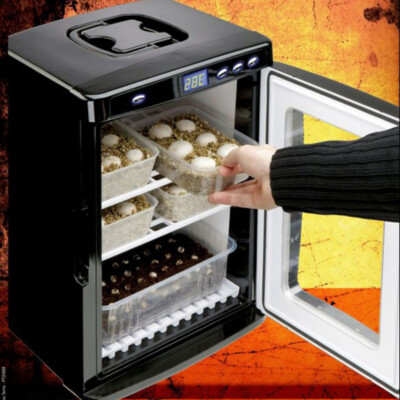Incubator Reptile Incubator Full Automatic Intelligent Incubator Small Domestic 