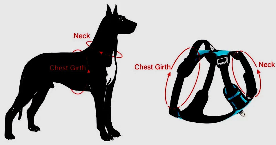 Dog Harness & Leash No Pull Control Adjustable Size Large Handle ⭐️⭐️⭐️⭐️⭐️