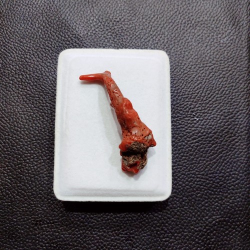 Vintage 100% Natural Red Coral Branch Gemstone Italian Sea Coral Polished Rough - Picture 8 of 16