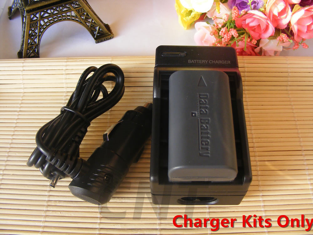 Battery Pack And USB Charger Kit For JVC Everio GZ-MS90, GZ