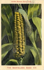1912 The Barteldes Seed Company, Denver, Colorado Advertising Postcard