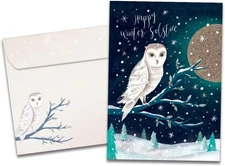 Tree-Free Greetings - Winter Solstice Greeting Cards - 12 Cards, Owl 