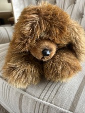 Steiff Molly Barry Dog Plush, Brown Fluffy Pup 0350/45 Preowned No Box