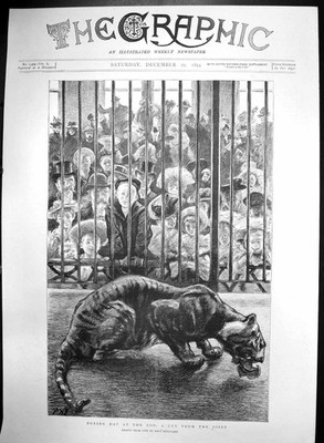 Alter Boxing Day Zoo Schnitt aus Joint Tiger frisst Kinder Look On 1894 viktorianisch