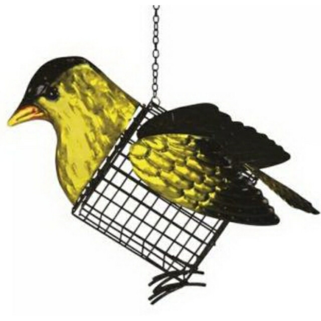 Cardinal, Blue Jay, Goldfinch Your Choice & Free Shipping!