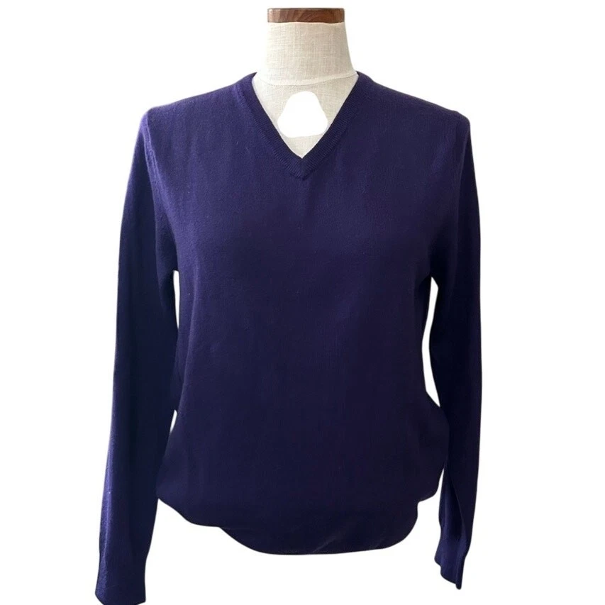 J.Crew Merino Wool V-Neck Sweater Mens Size S Purple Classic Preppy Knitwear