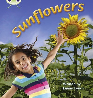 Sunflowers: Bug Club Phonics Bug Non-fiction Set 20 Sunflowers Non-Fiction Set 2