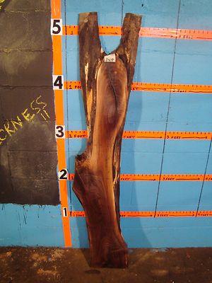 # 8418 Black Walnut Live Edge Slab lumber craft wood L 64 1/2'' W10'' T1 11/16''