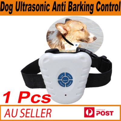 cesar millan bark collar