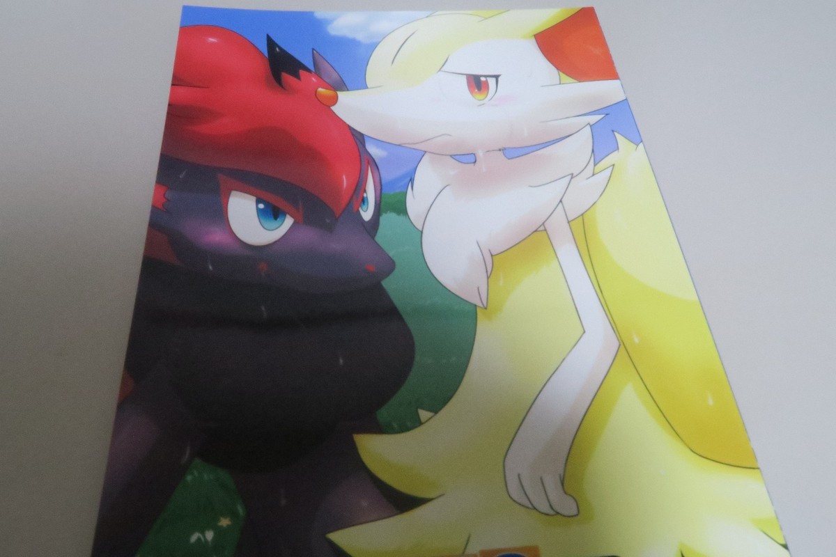 おんそくページ Doujinshi POKEMON Zoroark & Braixen etc. (B5 54pages) ODOSHIRO FOX