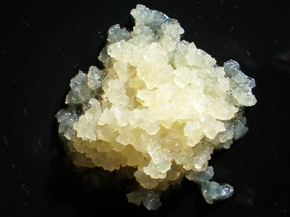 MARKENLOS Ginger root plant Wasserkefir 15gr Ginger Ale 1/2 L Kefir staatl.kontrol.Zucht