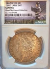 1884-P VAM-3 Large Dot Top 100   NGC Genuine   Toned   Morgan Silver Dollar #374