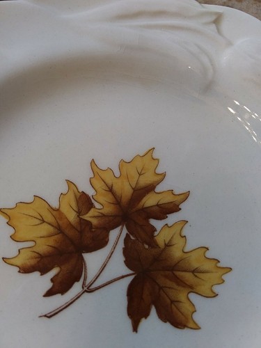 Placas pequeñas de vanidad tulipán Copeland England Spode con hoja de arce o sicómoro ~~3~ - Imagen 6 de 7