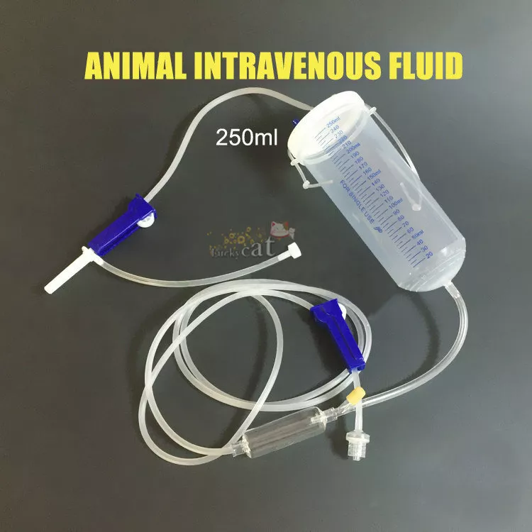 Pet top iv supplies