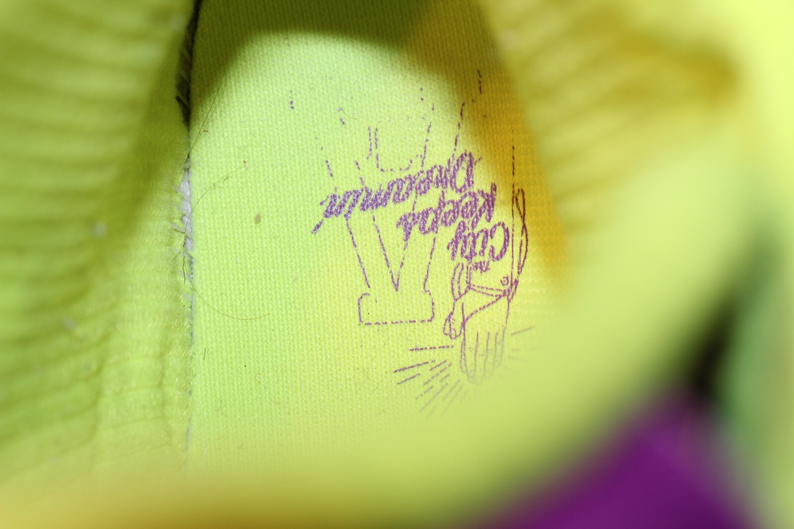 adidas Top Ten 2000 Puprple/Gold LA colorway men's size 12 eBay