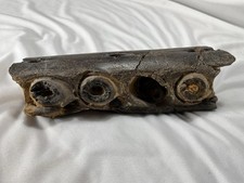 Mosasaur Jaw Fossil Aguja Formation Texas 11