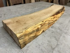 Live Edge Wormy Maple Wood Slab/ Rustic Maple/Kiln Dried Maple/Bench Wood Slab