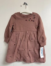 Carter's Baby Girl Dress 2 Piece Set 18 months NWT