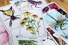 NEW Belt Publishing Rust Belt Arcana (Tarot Deck),  9781953368874  Novelty