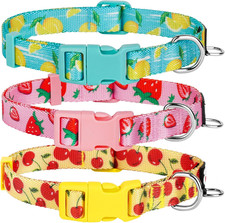 3 Pack Fruit Design Dog Collars Comfortable and Adjustable Nylon Dog Collars for