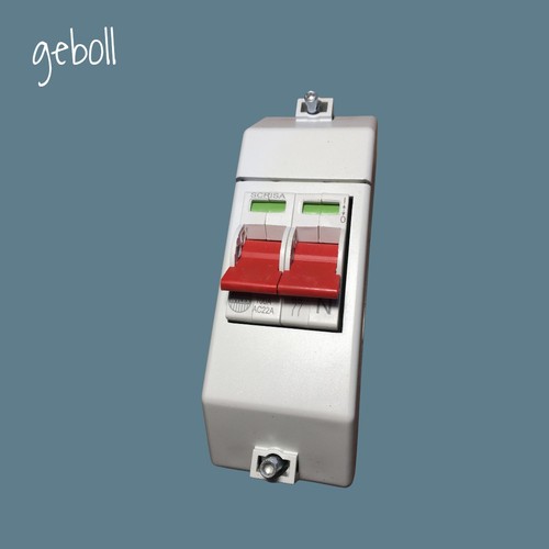 NEU WYLEX RECSW2S ISOLATOR LN WYLEX 100 AMP 2 POLIG SCHALTER mit GEHÄUSE RECSW2S
