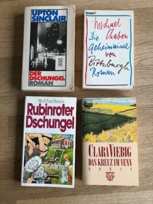 4 Bücher: Upton Sinclair/ Michael Chabon/ Rita Mae Brown/ Clara Viebig