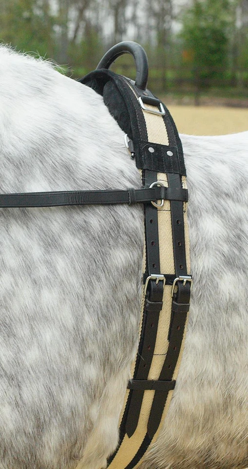 Busse Longiergurt mit Handgriff zum Longieren ohne Sattel MSh, Sh, P, VB/WB - Bild 2 von 2