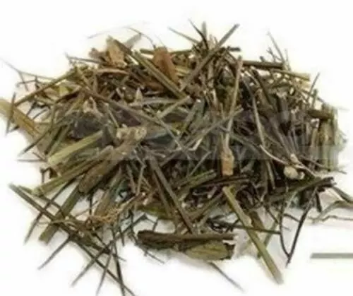 Chiraita Asli Swertia Chirayita Raw Bitter Stick Kalmegh Nilavembu - F/Ship - Picture 1 of 2