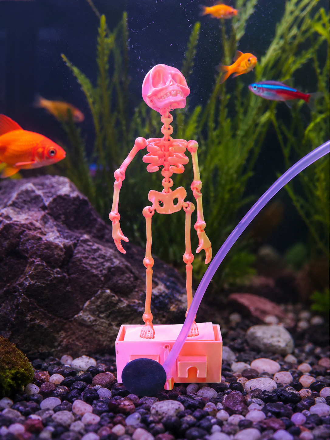 Scheletro Danzante per Acquario Stampato in 3D ad Aria Personalizzabile Ossigeno foto 3