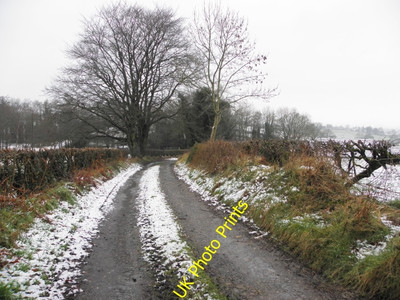 Photo 6x4 Rash Road, Mountjoy Forest East Division Knockmoyle/H4378 Head c2016