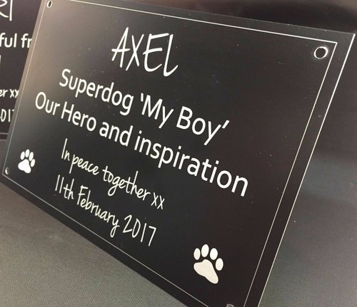 Pet Memorial Plaque personalised durable outdoor plaque SMALL 15x10cm - Picture 3 of 6