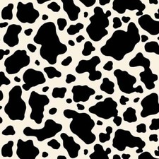 Cow Fabric BTY, Hoof It, Rodeo, CX9464 Black, Cotton, TheFabricEdge
