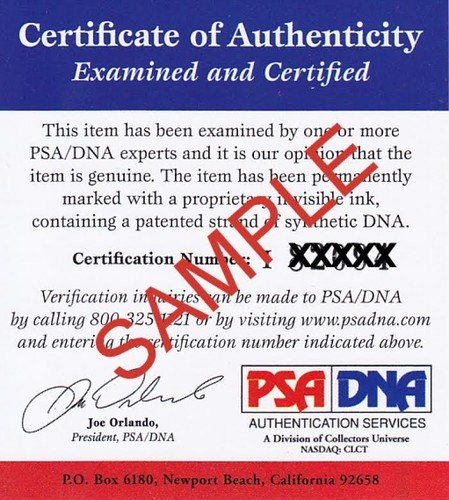 Angelique Kerber GERMANY Signed Auto 8x10 PHOTO PSA/DNA COA - Picture 2 of 2