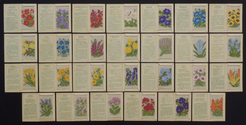 Kensitas Silk Flower 2nd Series Small x27 EXCELLENT