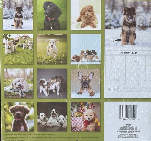 2026 Hanging Wall Calendar PUPPIES 12 Month 12” X 24” - Picture 2 of 4