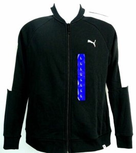 a puma at large exercise