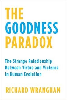 The Goodness Paradox: The Strange Relationship Between V... | Buch | Zustand gut