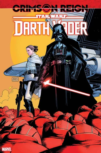 Star Wars Darth Vader #22 Cover C 1:25 Incentive Raffaele Ienco Var 1st Print