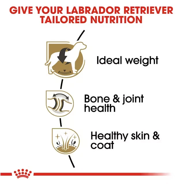 FLASH SALE!!! Royal Canin Labrador Retriever Adult Dry Dog Food, 30 lb FREESHIP - Image 3 of 4