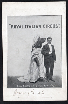 AK Königlich Italienischer Zirkus darstellender Bär Mischka 1906